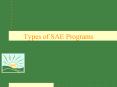 Types of SAE Programs