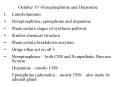 October 19 Norepinephrine and Dopamine