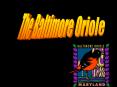 The Baltimore Oriole