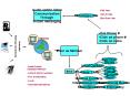 Head Quarter DatabaseNetwork