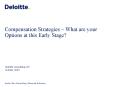 Compensation Strategies What are your Options at this Early Stage
