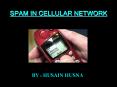 SPAM IN CELLULAR NETWORK