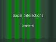 Social Interactions