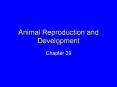 Animal Reproduction and Development