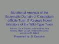 Mutational Analysis of the Enzymatic Domain of Clostridium difficile Toxin B Reveals Novel Inhibitor