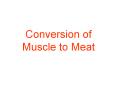 Conversion of Muscle to Meat