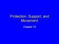 Protection, Support, and Movement