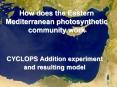 How does the Eastern Mediterranean photosynthetic community work