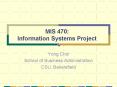 MIS 470: Information Systems Project