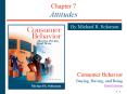 Chapter 7 Attitudes