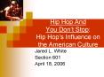Hip Hop And You Dont Stop: Hip Hops Influence on the American Culture