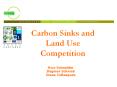 Carbon Sinks and Land Use Competition