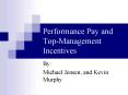 Performance Pay and TopManagement Incentives