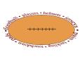 football players helmets jerseys pain tackling touchdown pads