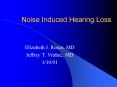 Noise Induced Hearing Loss