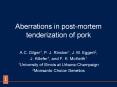 Aberrations in postmortem tenderization of pork