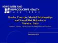 Gender Concepts, Marital Relationships and Sexual Risk Behavior in
