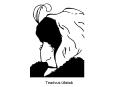 Teadvus llatab