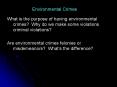 Environmental Crimes
