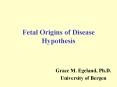 Fetal Origins of Disease Hypothesis