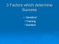 3 Factors which determine Success