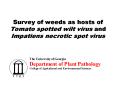 Survey of weeds as hosts of Tomato spotted wilt virus and Impatiens necrotic spot virus