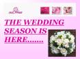 THE WEDDING SEASON IS HERE'