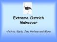 Extreme Ostrich Makeover