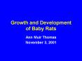 Growth and Development of Baby Rats
