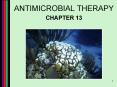 ANTIMICROBIAL THERAPY