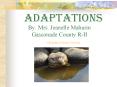 Adaptations