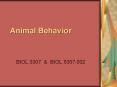Animal Behavior