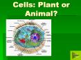 Cells: Plant or Animal
