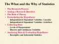 The What and the Why of Statistics