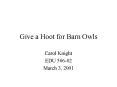 Give a Hoot for Barn Owls