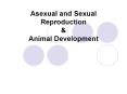 Asexual and Sexual Reproduction