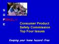 Family Safety Presentation