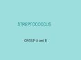 STREPTOCOCCUS