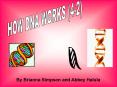 HOW DNA WORKS 42