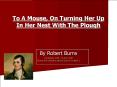 To A Mouse, On Turning Her Up In Her Nest With The Plough