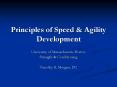 Principles of Speed