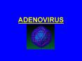 ADENOVIRUS