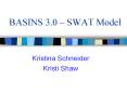 BASINS 3'0 SWAT Model