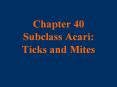 Chapter 40 Subclass Acari: Ticks and Mites