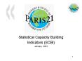 Statistical Capacity Building