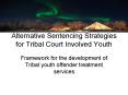 Alternative Sentencing Strategies for Tribal Court Involved Youth