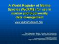 A World Register of Marine Species WoRMS for use in marine and biodiversity data management