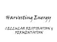 Harvesting Energy