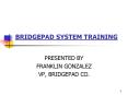 BRIDGEPAD SYSTEM TRAINING