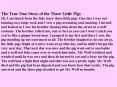 The True True Story of the Three Little Pigs